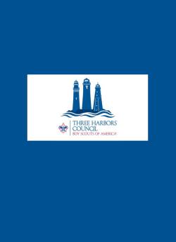 Boy Scouts logo on a blue background